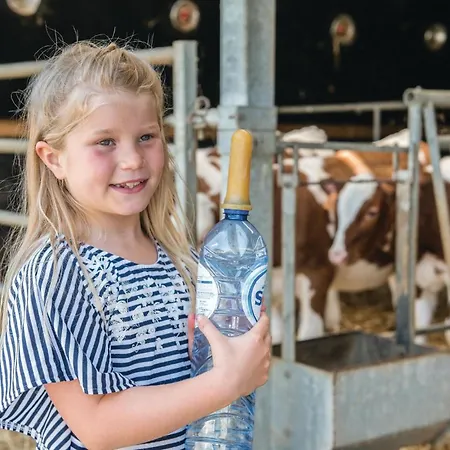 Haus Engel-emmanuel *